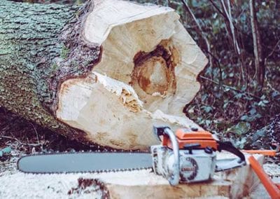 Ackermans Gardens. Elagage et abattage à Bruxelles et dans le Pajottenland.